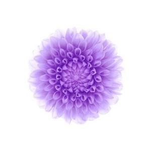 Meet your Posher, Mll